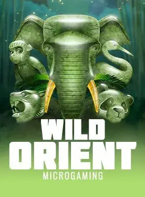 wild-orient.webp
